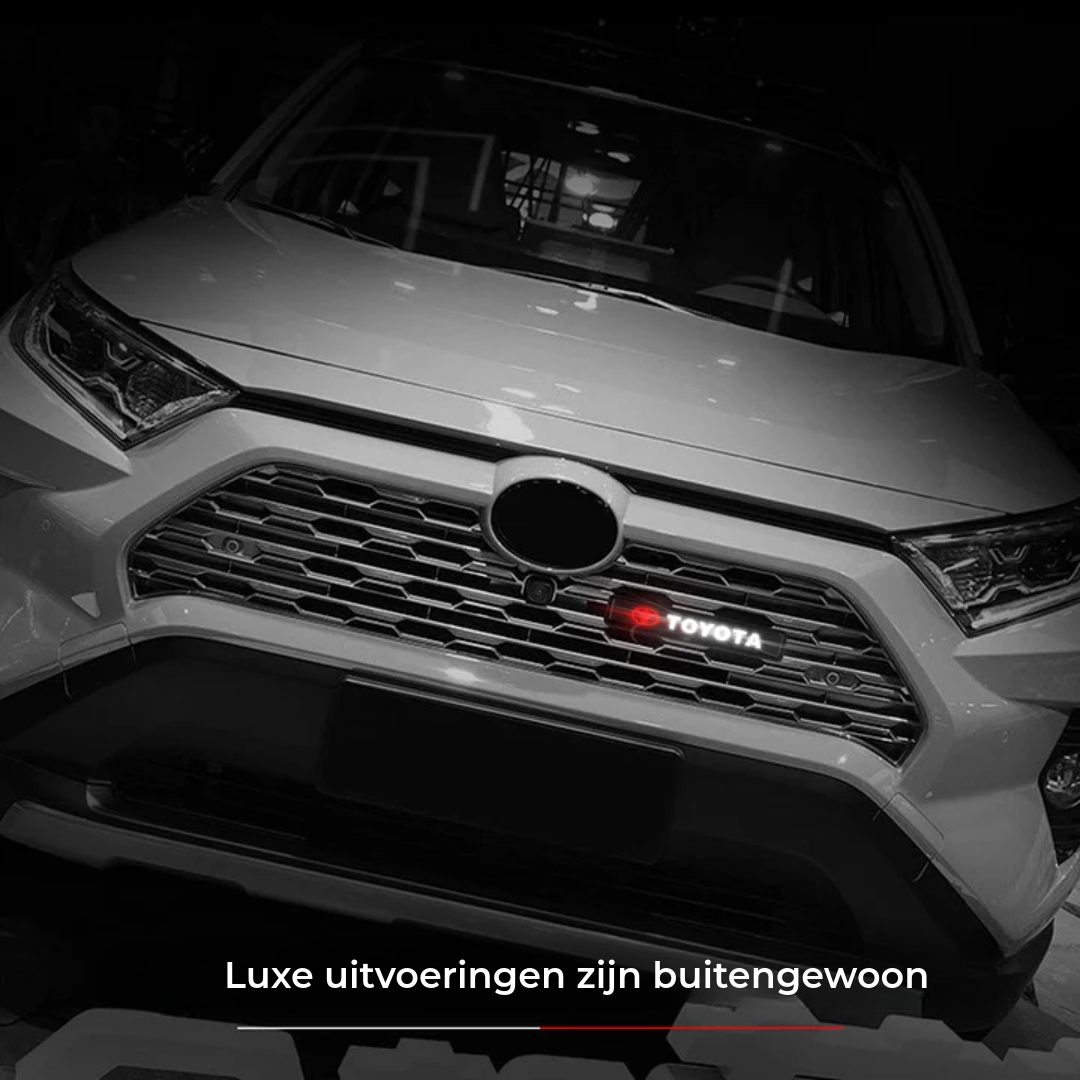 Auto Logo Verlichting