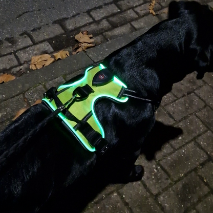 Safety Dog™ - LED vest voor honden