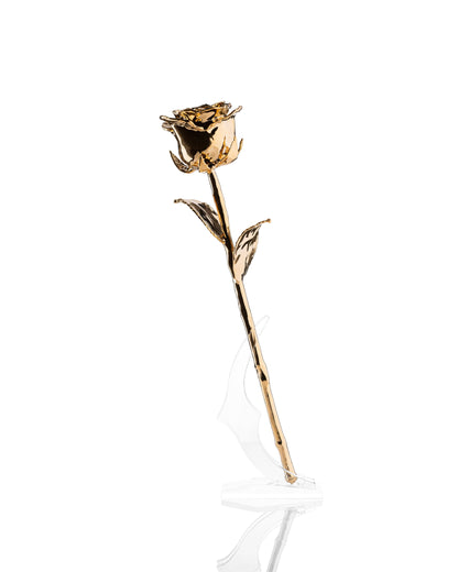 24K Gouden Roos