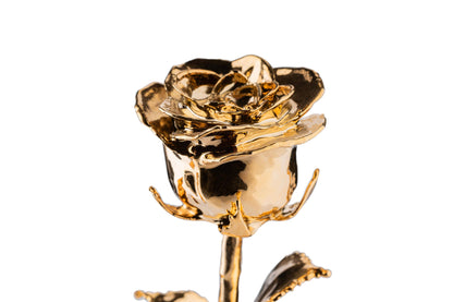 24K Gouden Roos