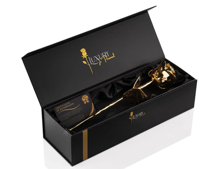 24K Gouden Roos
