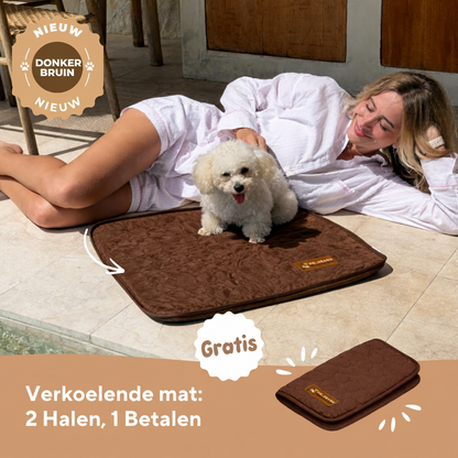 ArcticCloud® - verkoelende hondenmat (1+1 GRATIS)
