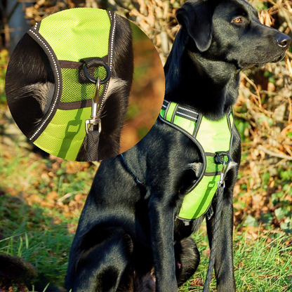 Safety Dog™ - LED vest voor honden
