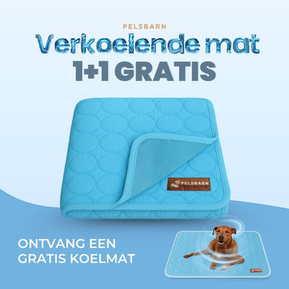 ArcticCloud® - verkoelende hondenmat (1+1 GRATIS)
