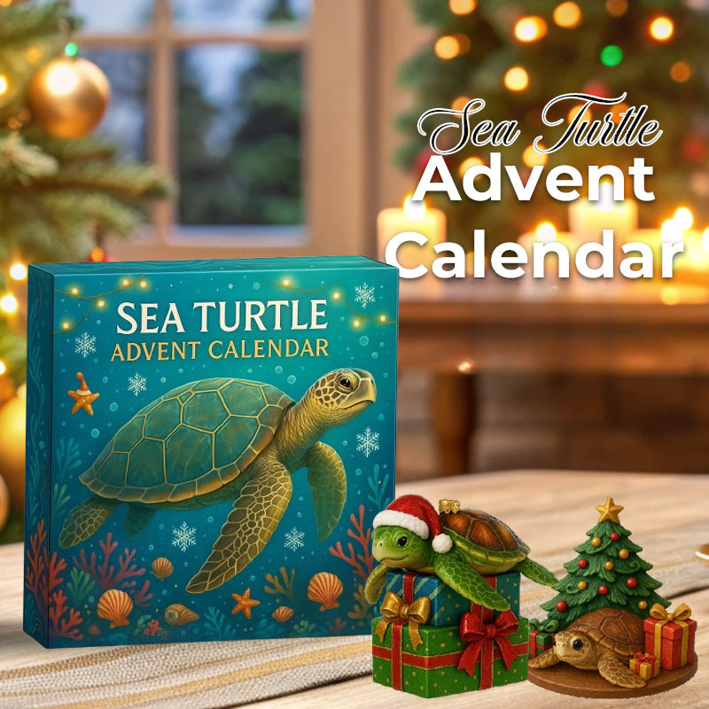 Schildpad Adventskalender