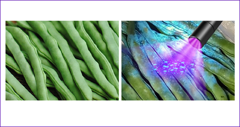 UV lamp voor het testen van fruit en groenten
