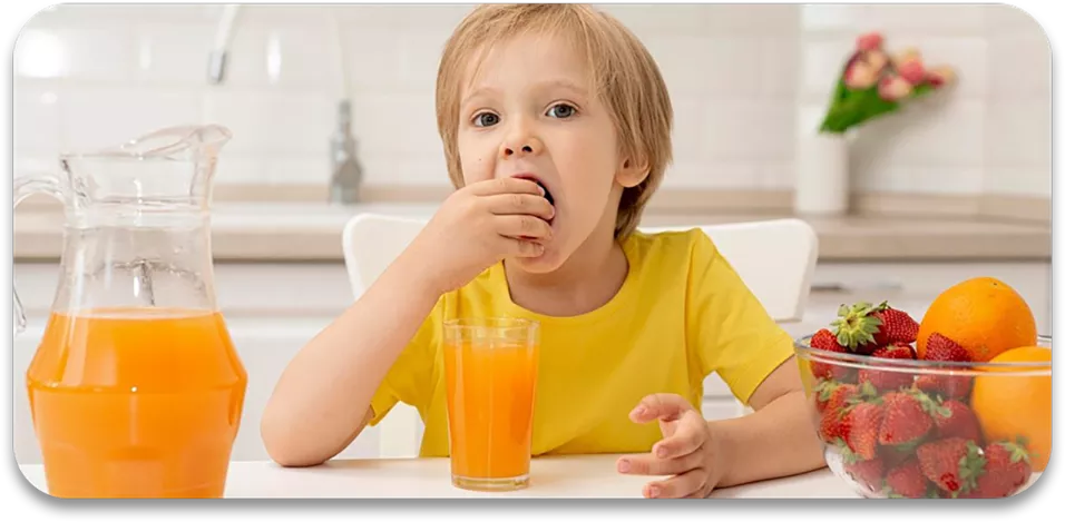 Draagbare ijsmaker