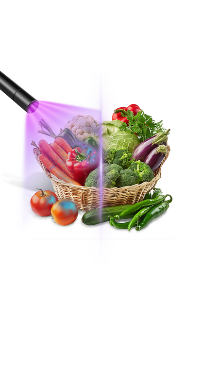 UV lamp voor het testen van fruit en groenten