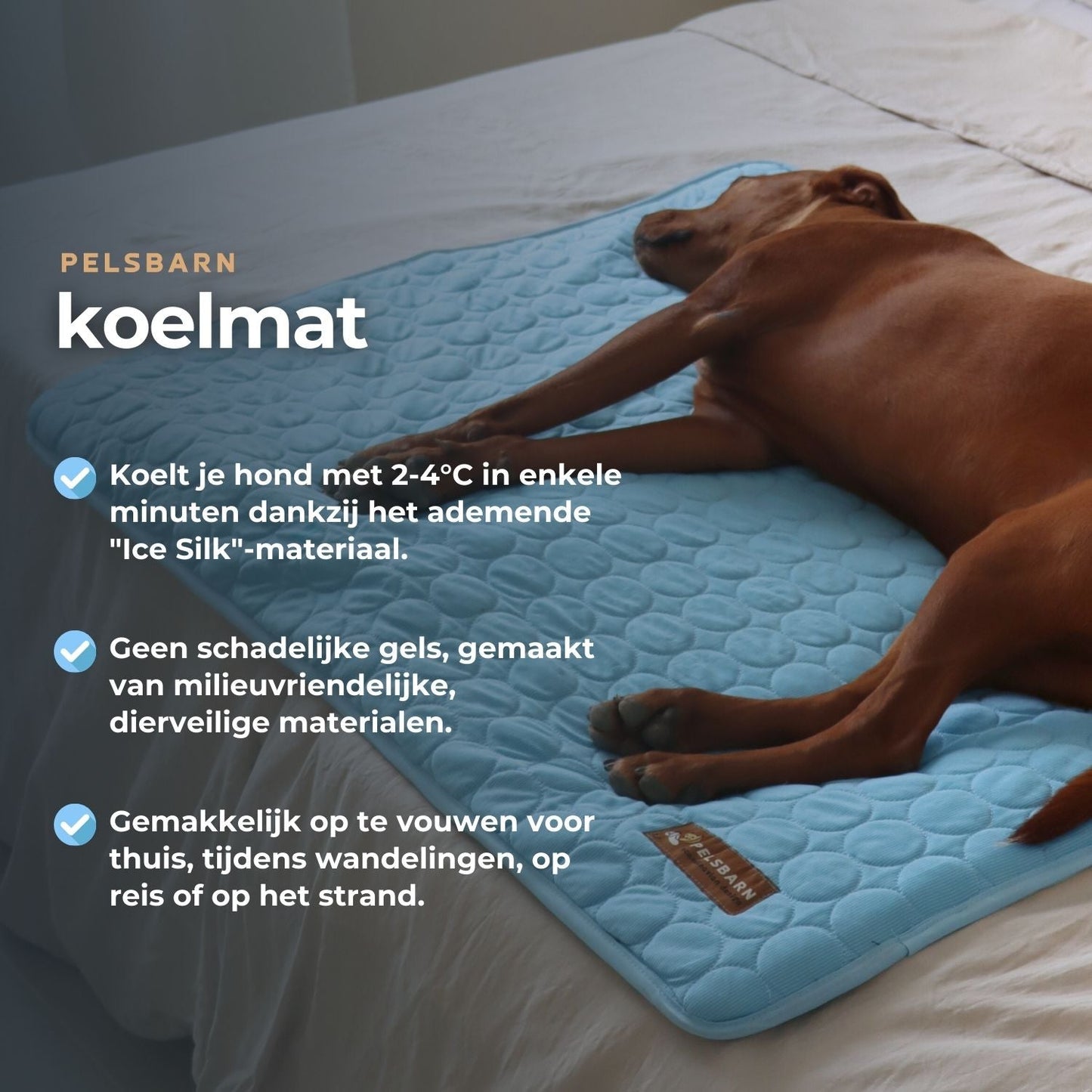 ArcticCloud® - verkoelende hondenmat (1+1 GRATIS)