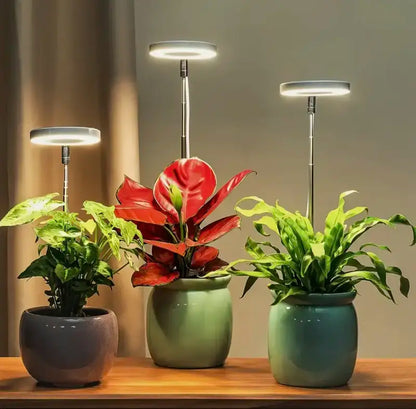Planten Lamp - Volledig Spectrum