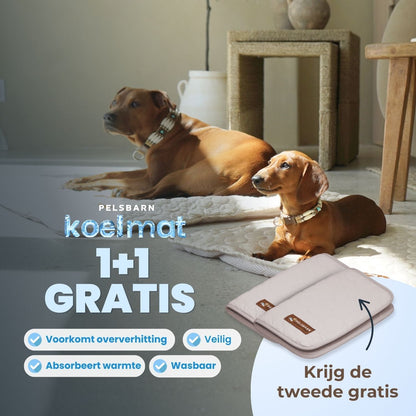 ArcticCloud® - verkoelende hondenmat (1+1 GRATIS)