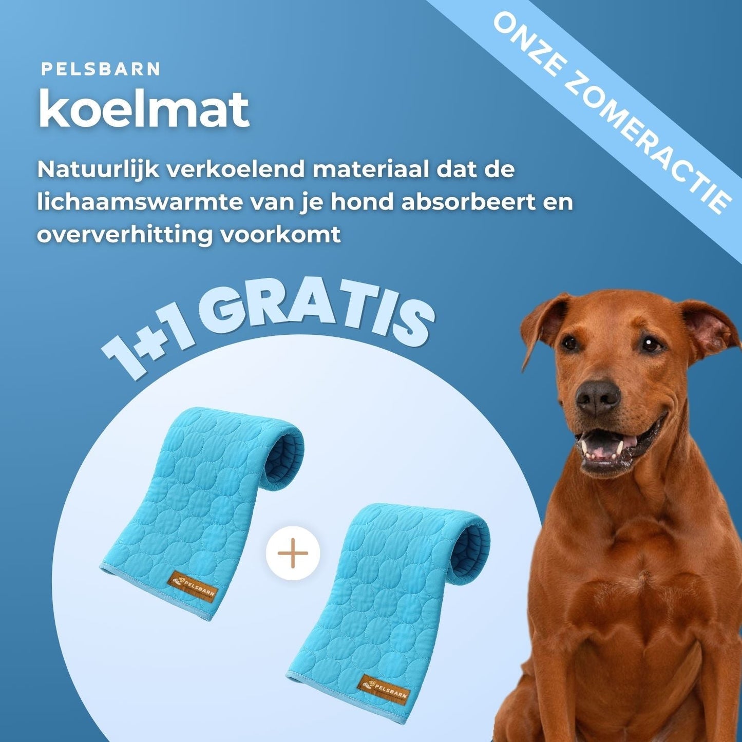 ArcticCloud® - verkoelende hondenmat (1+1 GRATIS)