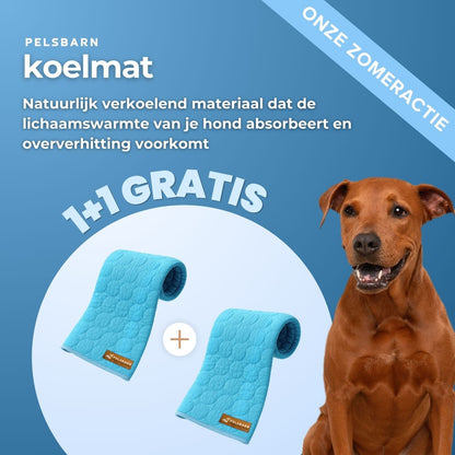 ArcticCloud® - verkoelende hondenmat (1+1 GRATIS)