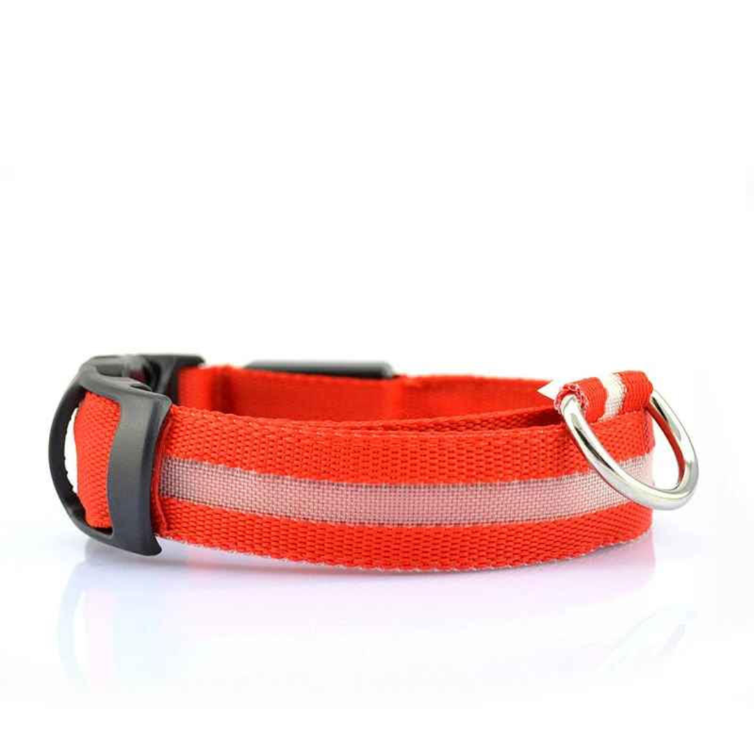 LED Honden Halsband