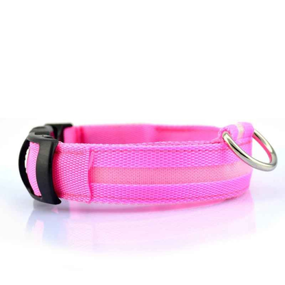 LED Honden Halsband