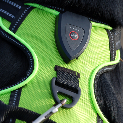 Safety Dog™ - LED vest voor honden