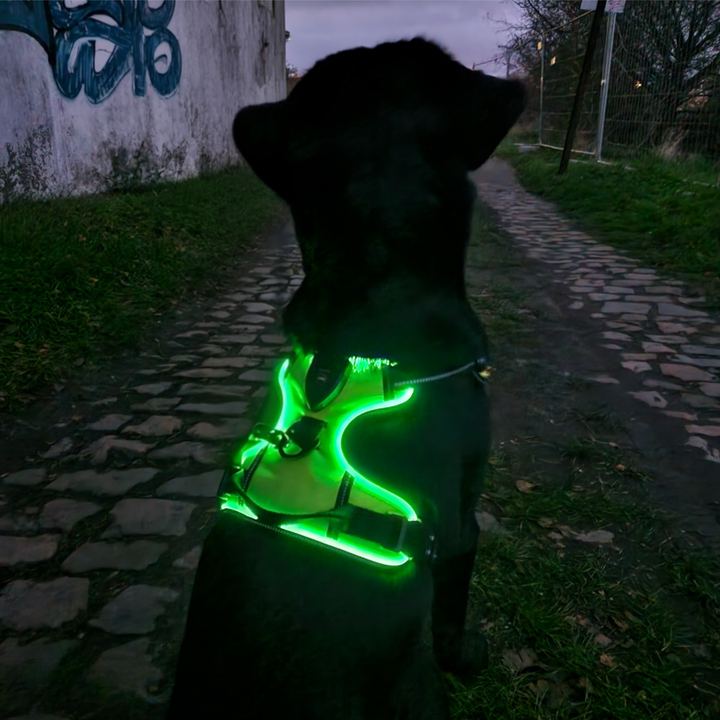 Safety Dog™ - LED vest voor honden