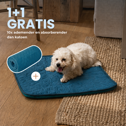 ArcticCloud® - verkoelende hondenmat (1+1 GRATIS)