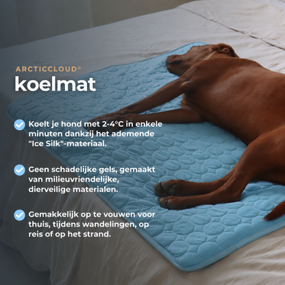 ArcticCloud® - verkoelende hondenmat (1+1 GRATIS)