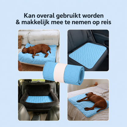 ArcticCloud® - verkoelende hondenmat (1+1 GRATIS)