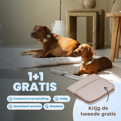 ArcticCloud® - verkoelende hondenmat (1+1 GRATIS)