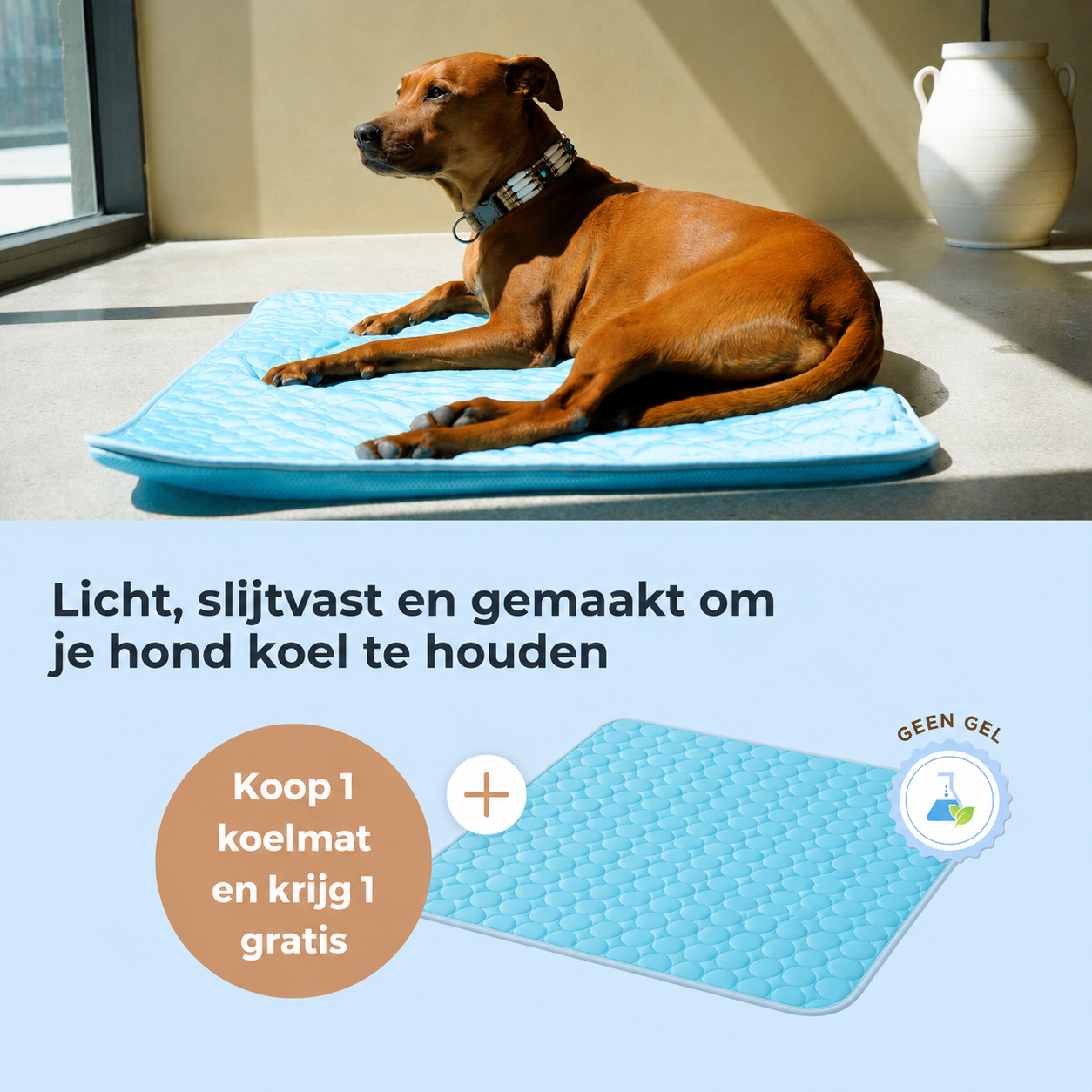 ArcticCloud® - verkoelende hondenmat (1+1 GRATIS)