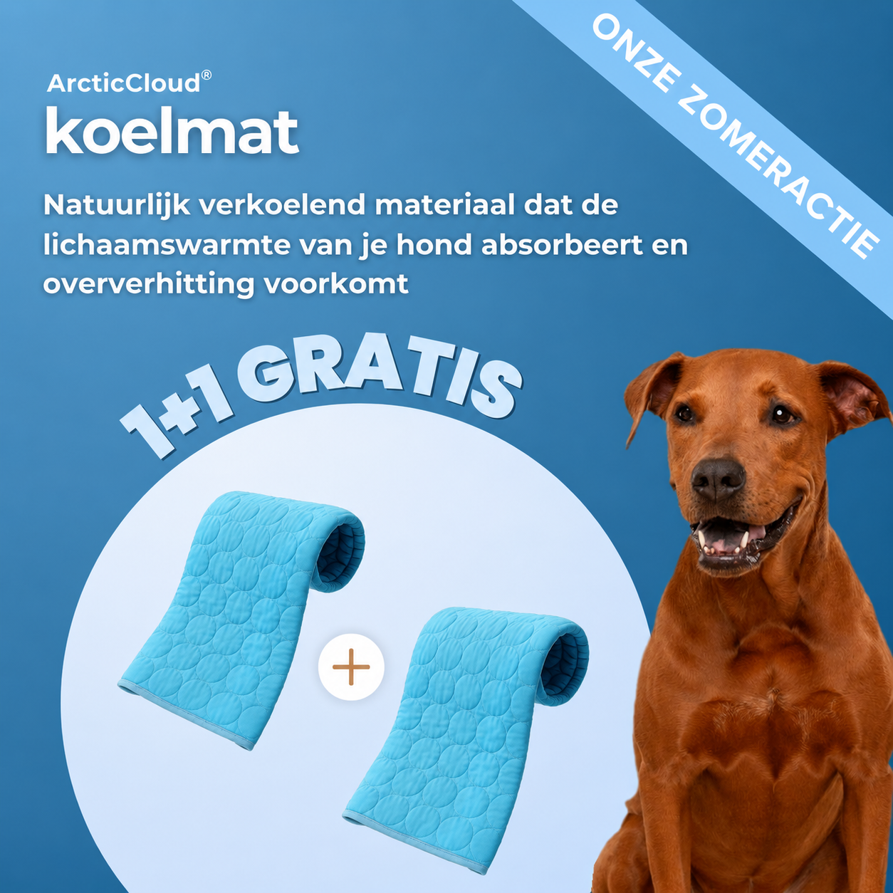 ArcticCloud® - verkoelende hondenmat (1+1 GRATIS)