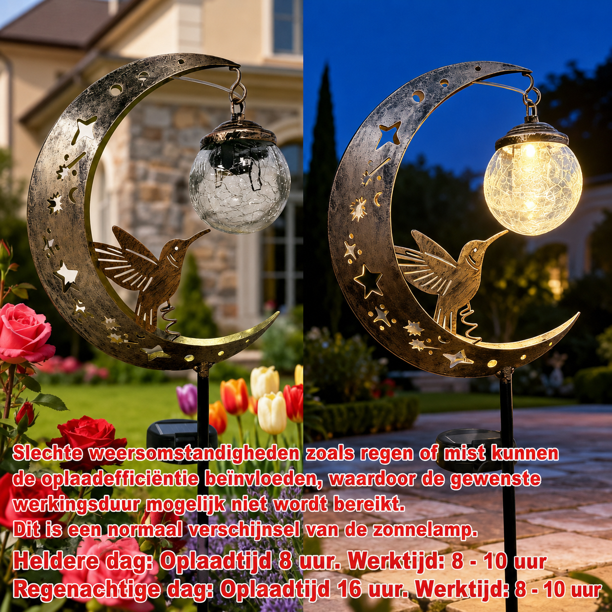 LunaBird Solar Lamp