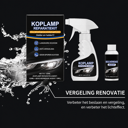 Autokoplamp restauratieset