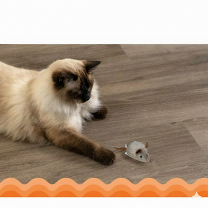 Realistisch interactief kattenspeeltje