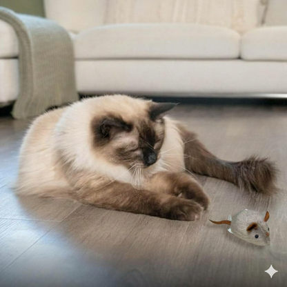 Realistisch interactief kattenspeeltje
