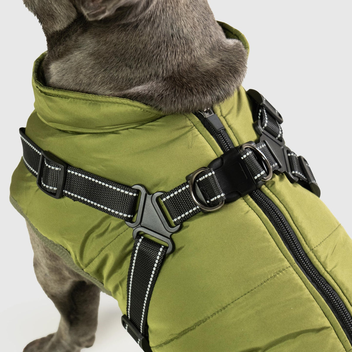Petstar™ - Waterdichte winterjas met ingebouwd tuigje