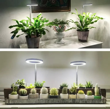 Plantenverlichting met volledig spectrum
