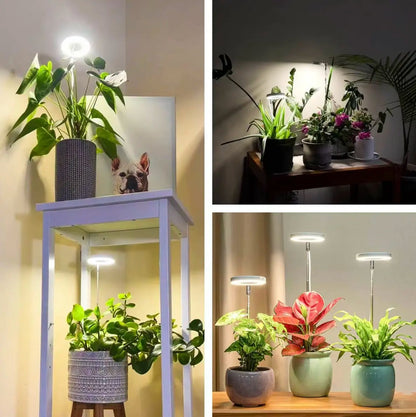 Plantenverlichting met volledig spectrum