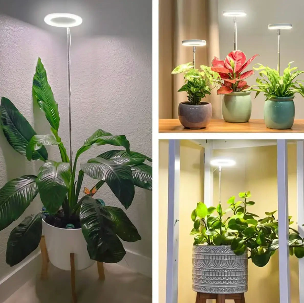 Plantenverlichting met volledig spectrum