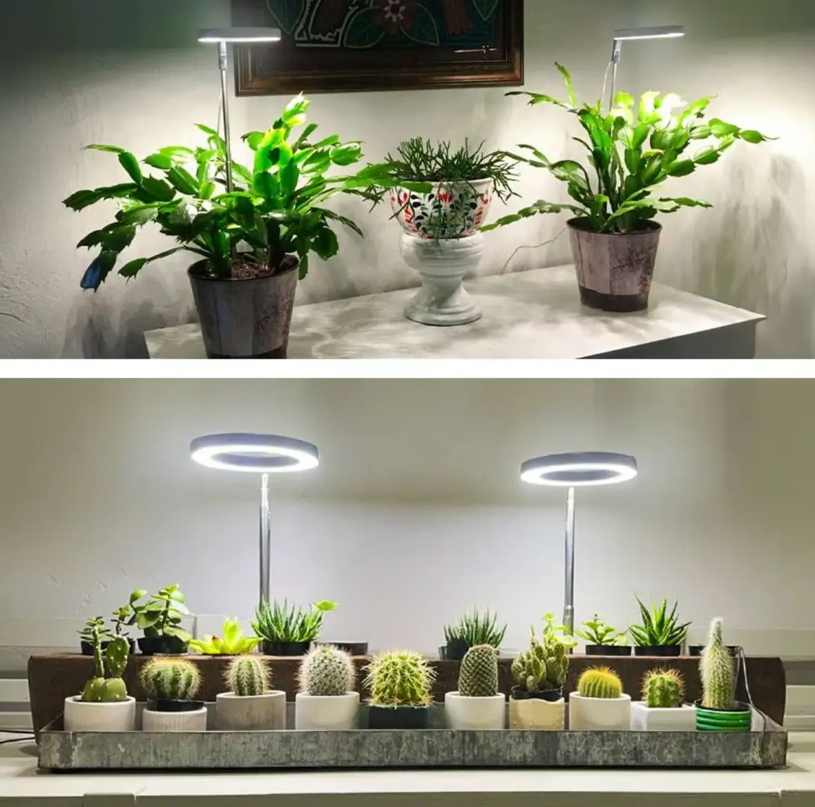 Plantenverlichting met volledig spectrum