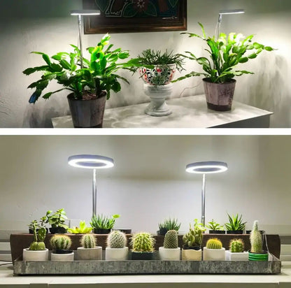 Plantenverlichting met volledig spectrum
