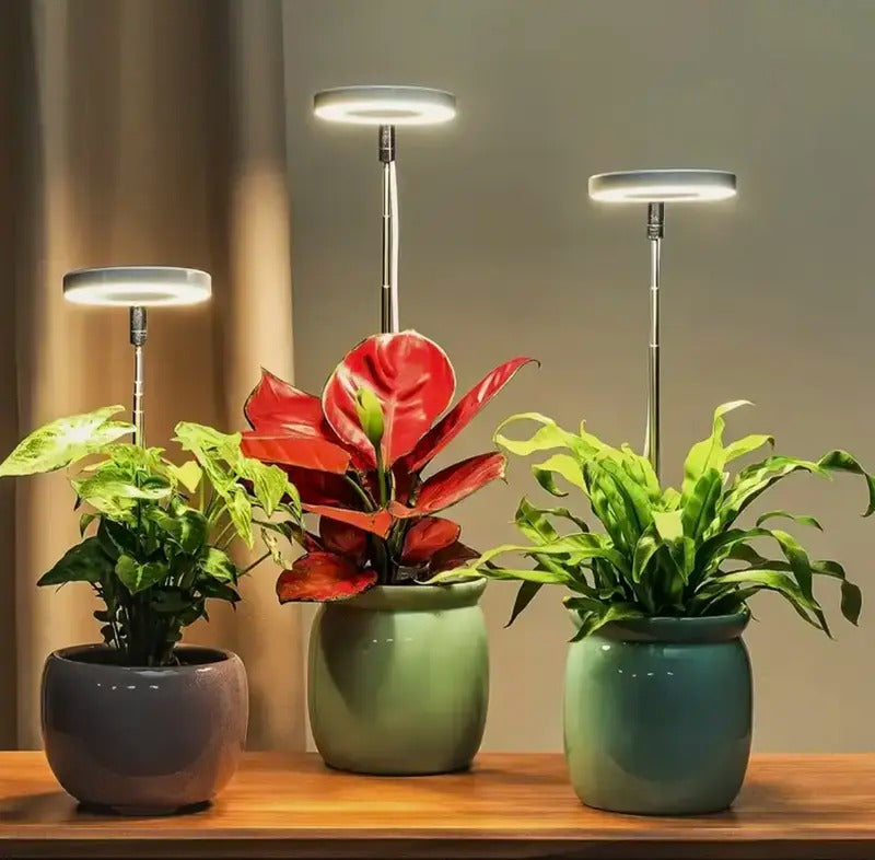 Plantenverlichting met volledig spectrum
