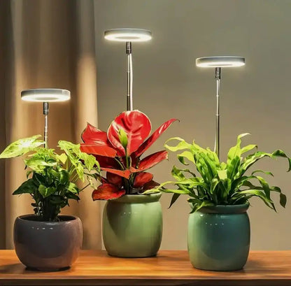 Plantenverlichting met volledig spectrum