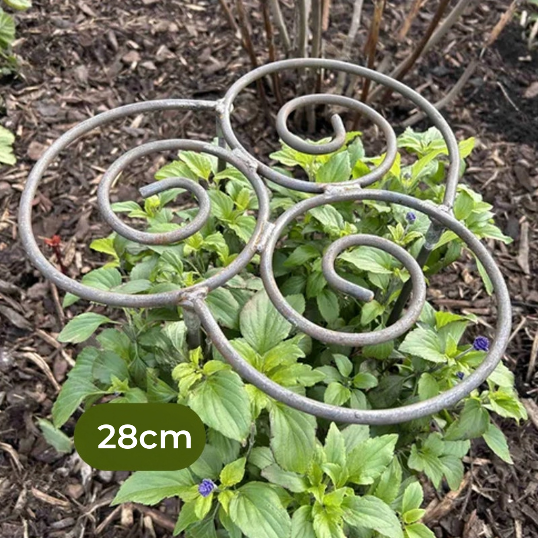 Plantensteun – Want mooie bloemen hebben zachte ondersteuning nodig