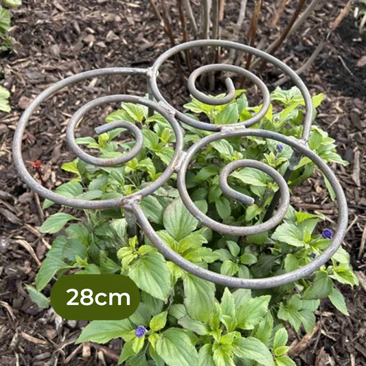 Plantensteun – Want mooie bloemen hebben zachte ondersteuning nodig