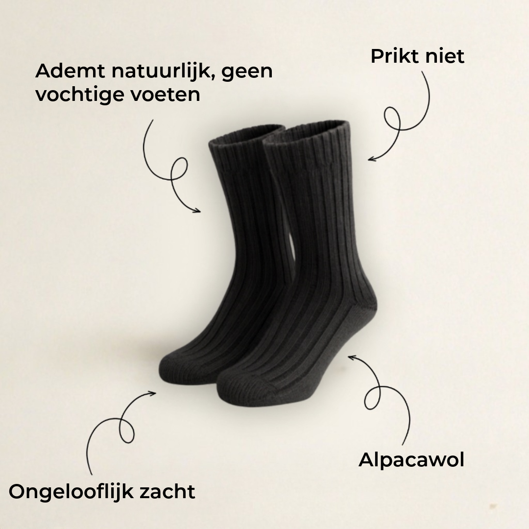 Premium Alpaca Kousen