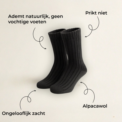 Premium Alpaca Kousen