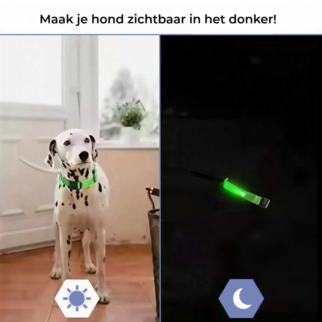 LED Honden Halsband