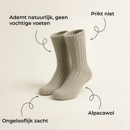 Premium Alpaca Kousen