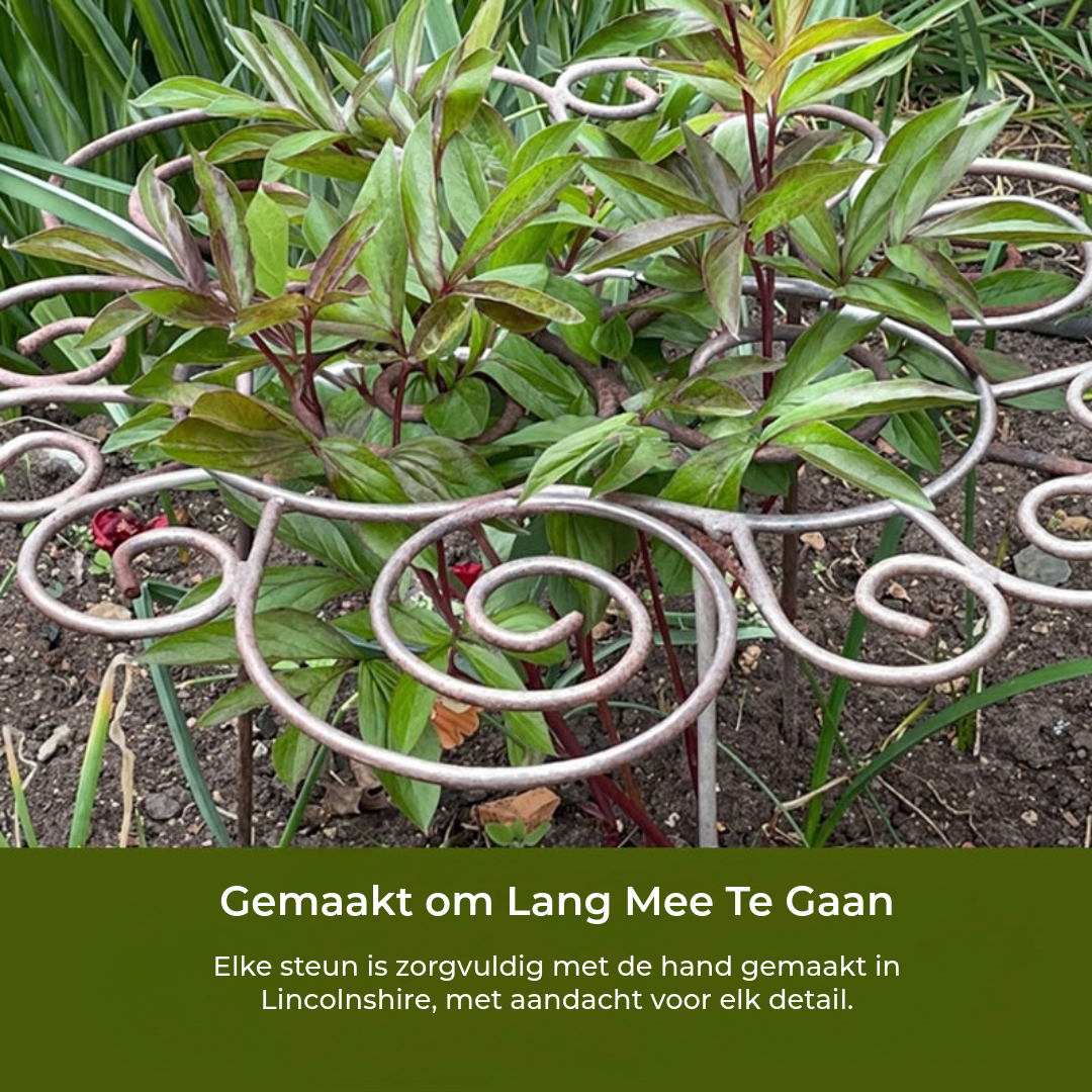 Plantensteun – Want mooie bloemen hebben zachte ondersteuning nodig