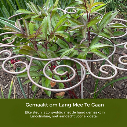 Plantensteun – Want mooie bloemen hebben zachte ondersteuning nodig