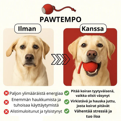 PawTempo - Laat je vriend vrolijk rennen