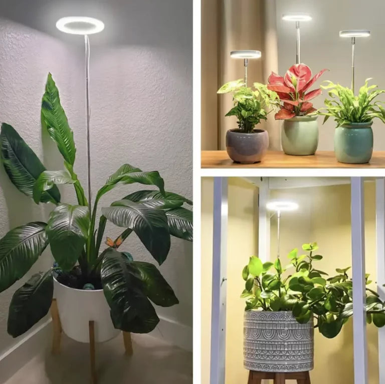 Planten Lamp - Volledig Spectrum