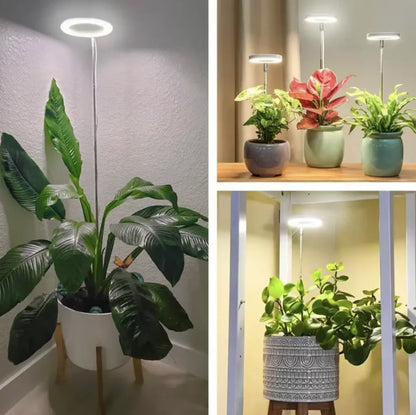 Planten Lamp - Volledig Spectrum